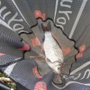 아름낚시터 이미지