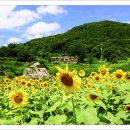 위봉산성마을 티스토리