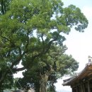 침류정(枕流亭) 이미지