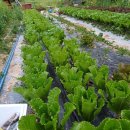 미강세탁 이미지