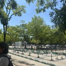 홀리테라피 | 2026 뷰민라 후기(미남 테라피를 하다.)🍵🧺🎶💚