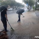 삼향천5 이미지