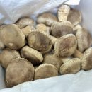 송화 농장 | 🍄‍🟫 친환경 농산물, 송화버섯🍄‍🟫 아버님이 선물해주신 송화버섯 솔직후기 (광고 아님)