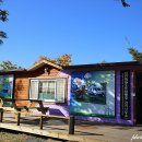 화랑유원지_관리사무소주변 이미지