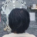 끌레오헤어칼라 이미지