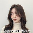 헤어벨 네이버블로그