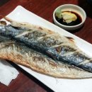 고양이와 와사비 이미지