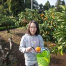 봄날식당 이미지