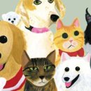 청려원 반려동물 센터 이미지