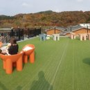 광릉내 애견 이미지