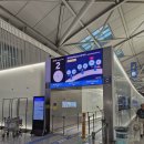 푸니와 햄버거 | 16박 18일 미국여행 1