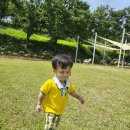 다온숲어린이집 이미지