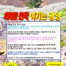 섬진장 Daum카페