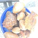 써니의 펜션 스토리 이미지