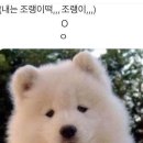 대왕포차 이미지