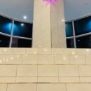 맨앤독 애견카페 이미지