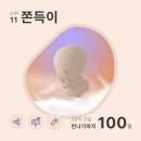 본가옛날빈대떡 | EP.07 공포의 임당검사 재검당첨 23-26주차 임산부 일상기록(제주도, 후쿠오카 여행)