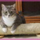 스카이동물병원 이미지