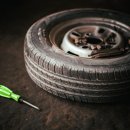 오토 오아시스 이미지