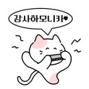 아드리다헤어 이미지