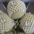 유림청과 이미지