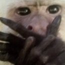 평천로255번길 이미지