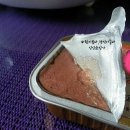 월평동물병원 이미지