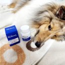 로이메디 이미지