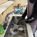 여주 | 유기견 봉사활동 처음 도전하기 좋은 곳 반려마루 여주 후기