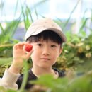 에이원농장 이미지