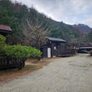 광치자연휴양림 | 강원도 여행 아이랑 야외바베큐 가능한 광치자연휴양림 501동 층층나무 숙박 후기