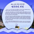 별주부전 이미지