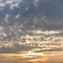 남해바다 이미지