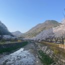 백양사 먹거리타운 이미지