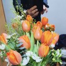 예뜰리에 이미지