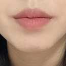 바닐라코 쉬어벨벳베일틴트 & 베일글로스 (쩡유 마켓 내돈내산 후기)