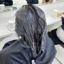 샵꽁뜨 예원쌤에게 받은 밤비브라운 컬러 염색 후기