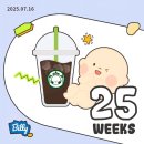 안정보건지소 | 임신기록👶．25주~31주차 : 임신중기증상, 디마백, 태동 검사, 백일해 접종, 임산부 코로나, 위드아워...