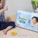 서린글로벌 | 팸퍼스 신제품 아기 여름기저귀 샘플 추천 후기