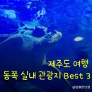 제주커피박물관 바움 | 동쪽 아이랑 실내 놀거리 관광지 아쿠아플라넷 제주 공연시간 할인 정보 제주 커피박물관 바움 소심한책방