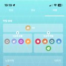 솔트마인 이미지