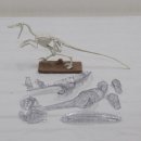 벨로시랩터 | 반다이] 프라노사우르스 - 벨로시랩터 조립체험회 버전 [언박싱 개봉 후기 완성 리뷰