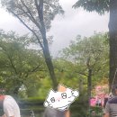 한솔목장 이미지