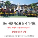 남강민박 | 고성 공룡 엑스포 예매 꿀팁(할인과 상품권 제공)과 실제 후기(퍼레이드, 서커스 관람 팁과 동영상) 대공개