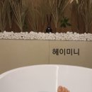 세신샵 여율 이미지