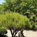 건강예찬 | 경북예천맛집 맛질예찬 토담, 건강하게 즐긴 예천여행맛집 후기