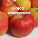 인우농장 | 못난이사과 인우네과일 안동 산지 직송 홍로 당도 높음