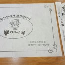 뽕이나무 이미지