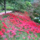 가오근린공원 이미지