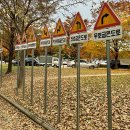어린이교통공원 | 아이들과 함께하는 즐거운 하루! 수원 어린이 교통 공원 탐방기 🚦🚴‍♂️
